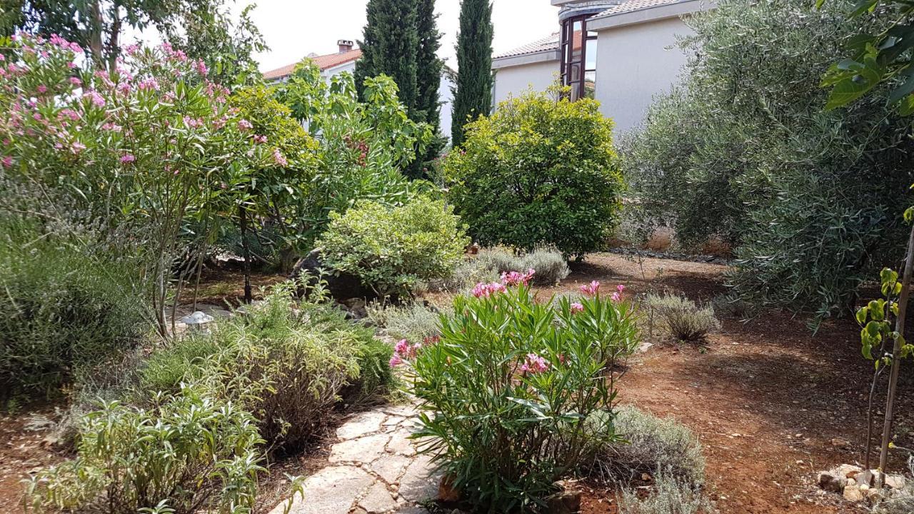 Apartments Villa Temer Pinezići Zewnętrze zdjęcie